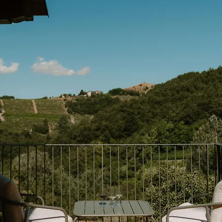 בית חווה Borgo Isolabella - Wine & Vermouth