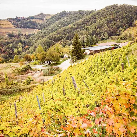 Alloggio per agriturismo Borgo Isolabella - Wine&vermouth