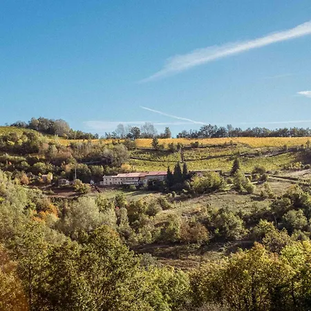 Borgo Isolabella - Wine & Vermouth * Loazzolo